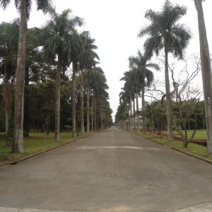 ACB <br> KIT 5 TELAS <br> DE FOTOPINTURA EMOLDURADAS