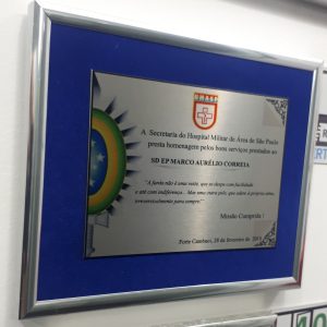 ACE <br> PLACA 14 X 10<br> EMOLDURADA