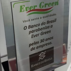 AED<br>PLACA-TROFÉU<br> 7 X 10