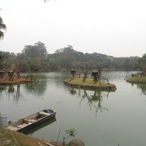 ABD<br> TELA DE FOTOPINTURA<br> EMOLDURADA